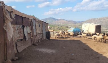 State of the World from NPR : NPR