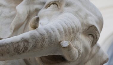 Rome's beloved Bernini elephant sculpture loses the tip of its tusk