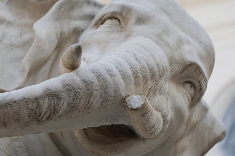 Rome's beloved Bernini elephant sculpture loses the tip of its tusk