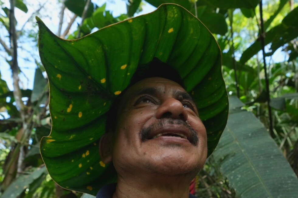 An Ecuadorian family works to save endangered plants in the Amazon
