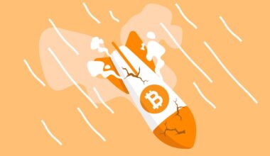 Bitcoin rocket heading back to earth.