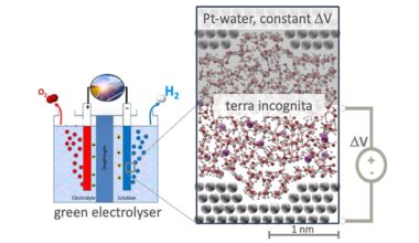 Exploring the role of surface morphology in electrocatalytic interfaces