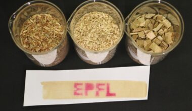 Eco friendly thermal paper made with wood