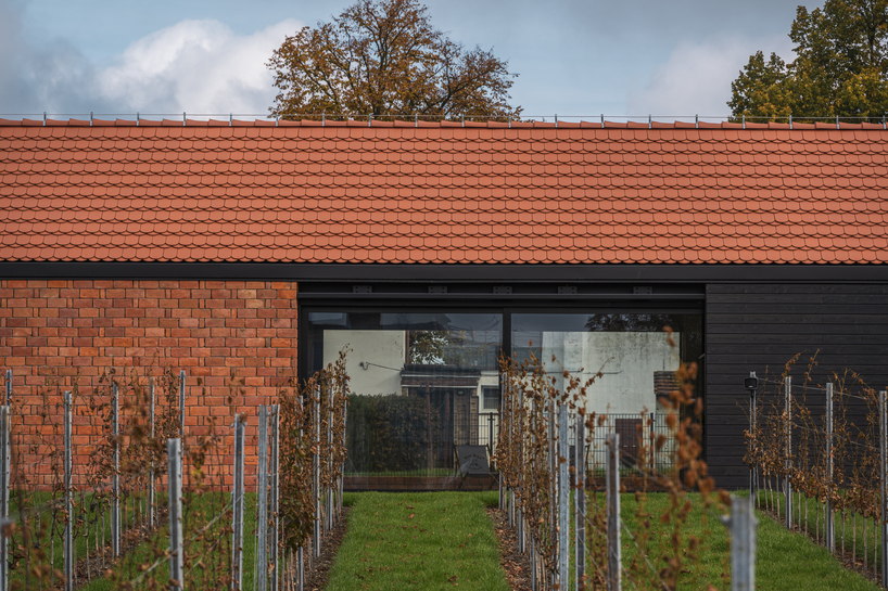barrel-vaulted concrete cellar organizes vineyard building in poland