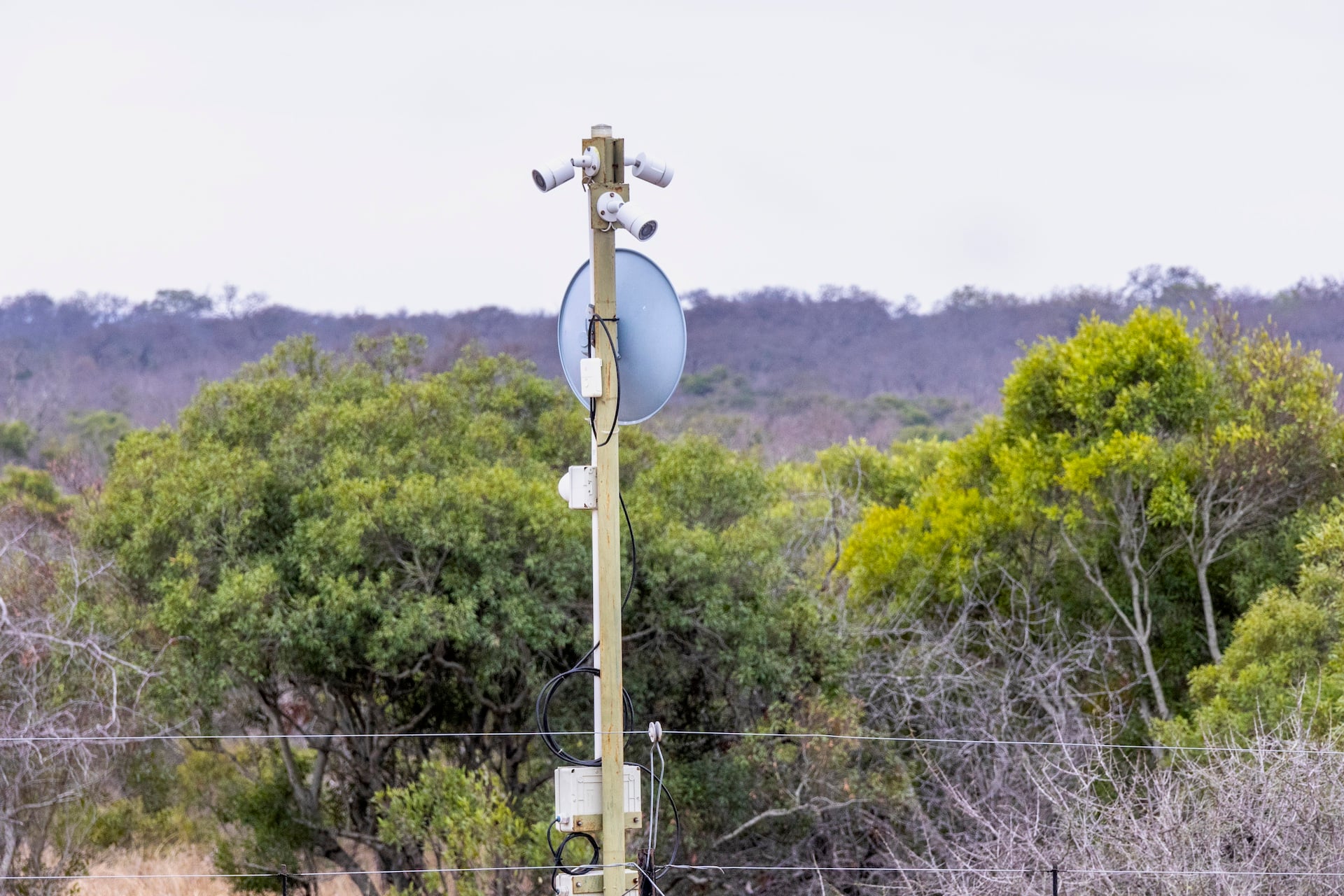Pole‑mounted surveillance node with clustered fixed cameras, multidirectional eyes scanning along Kruger National Park electric fence