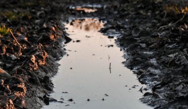 The Blogs: Theory and Practice | Seth Goren