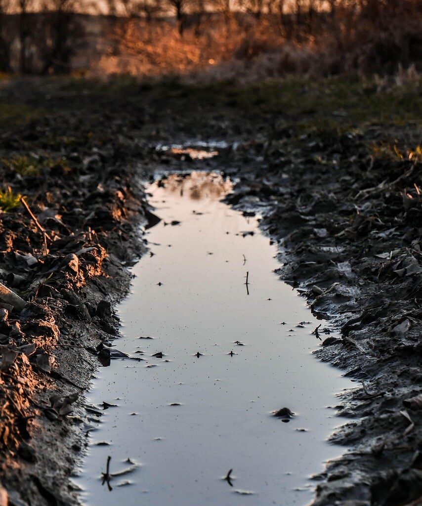 The Blogs: Theory and Practice | Seth Goren