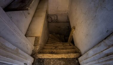 California authorities uncovered and disrupted several major wildlife trafficking operations, including one that internationally trafficked illegal products made from endangered species.