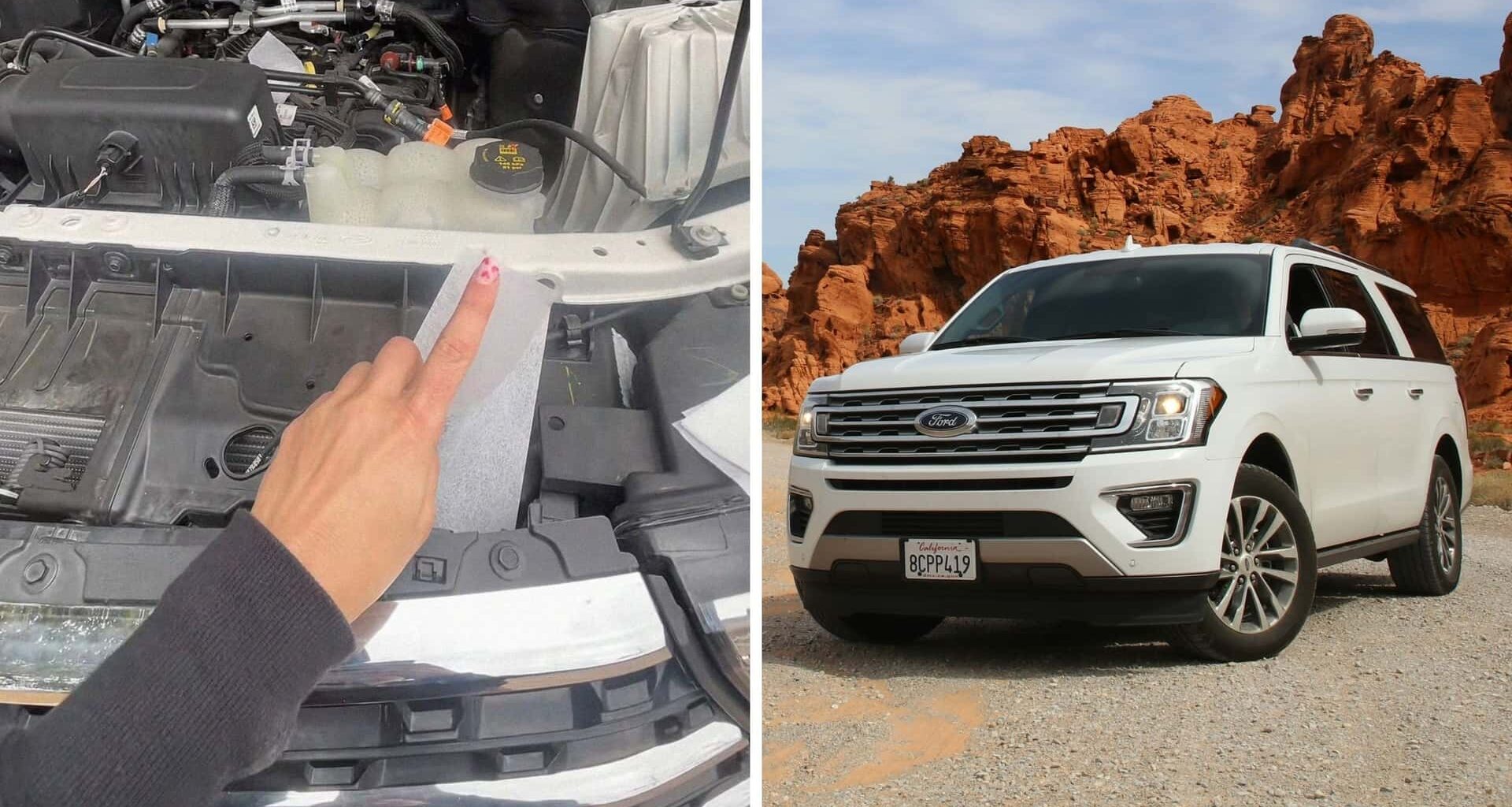 How Much Damage Do Rodents Do?