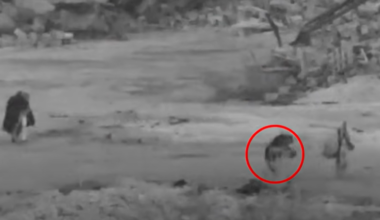 Spotlight on Terrorism and the Israeli-Palestinian Conflict (February 10-17, 2026)