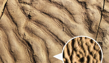 Wrinkled rocks were once home to ancient deep sea microbes