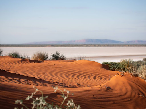 A sand dune in the Newhaven Wildlife Sanctuary.
