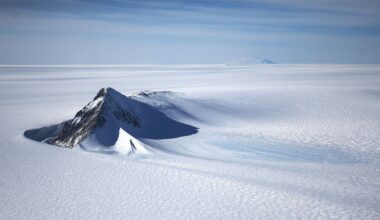 the tip of a rocky mountain rises up out of a snowy expanse