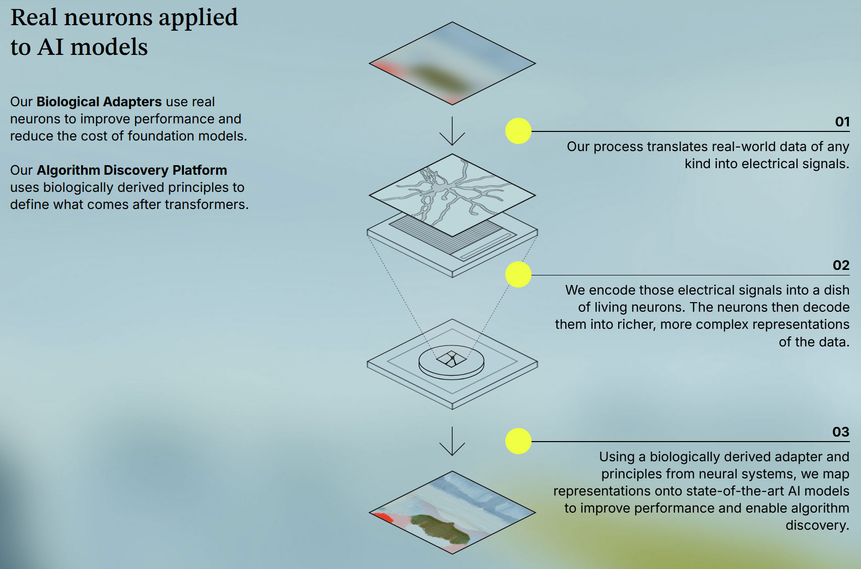 The Biological Computing Company