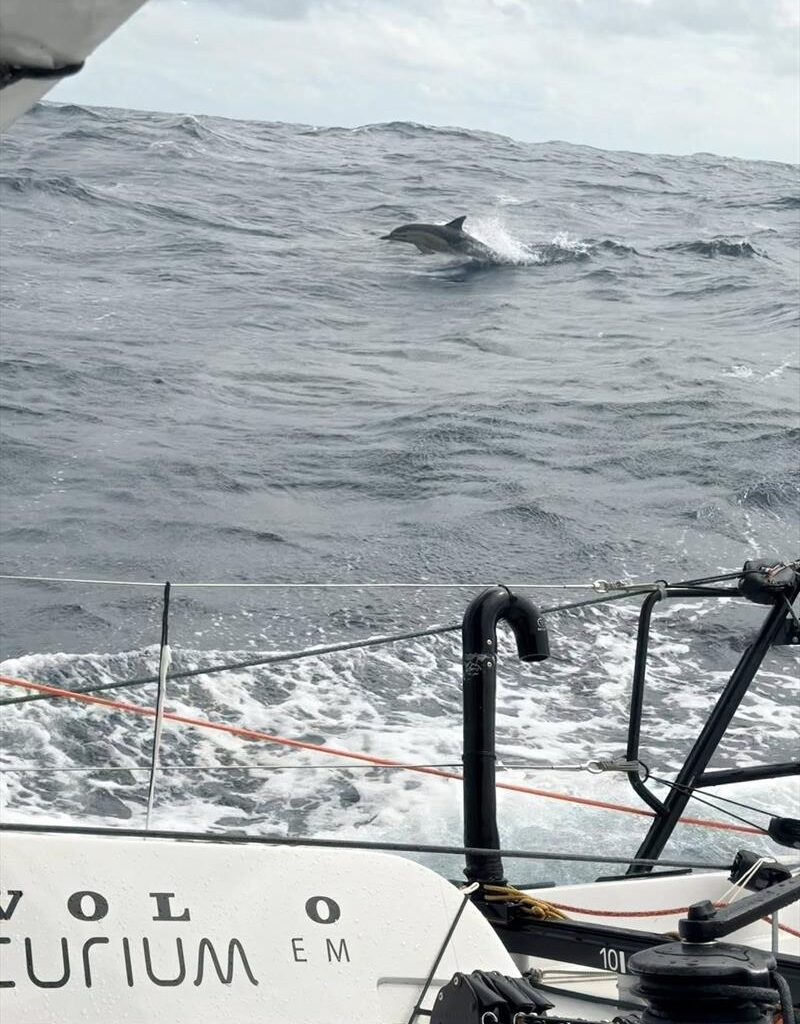 On the road to the Horn, tough first days