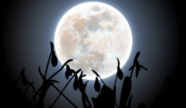 February's full Snow Moon glows behind snowdrops in ethereal winter photo