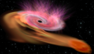 A illustration of a tidal disruption event in which a star is devoured by a black hole