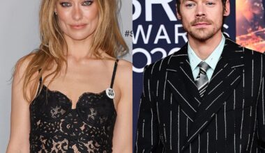 Harry Styles’ “Paint By Numbers”: Olivia Wilde Breakup 