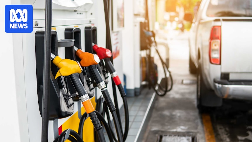 How are rising fuel costs and oil supply shortages affecting you or your business?