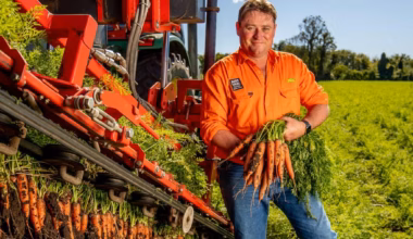 Subscribe to The Australian | Newspaper home delivery, website, iPad, iPhone & Android apps