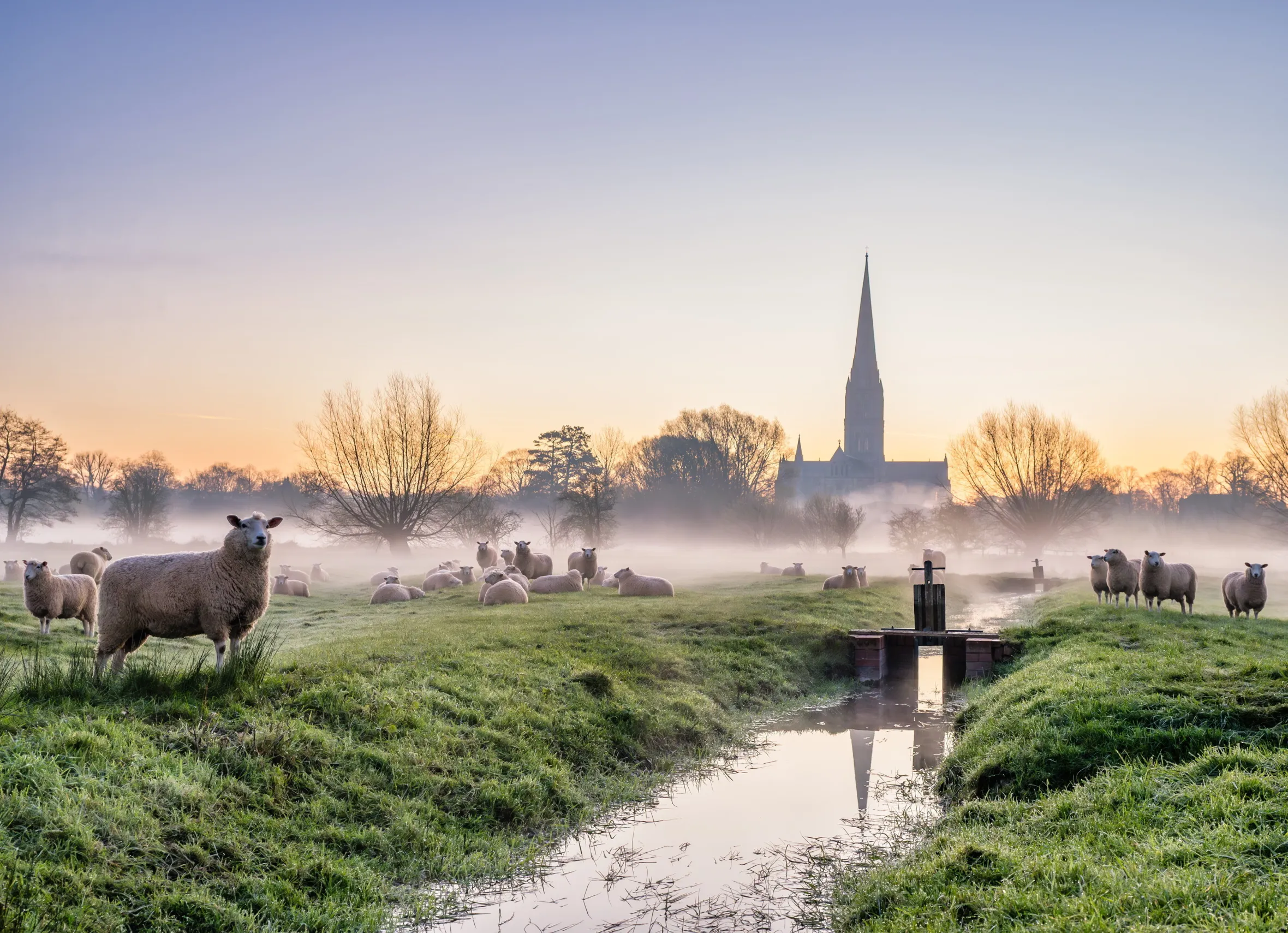 Weather: Sunny spells dominate much of England and Wales