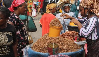 African economic growth threatened as oil prices surge