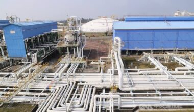 Household gas, LPG prices to be frozen in April: Cabinet