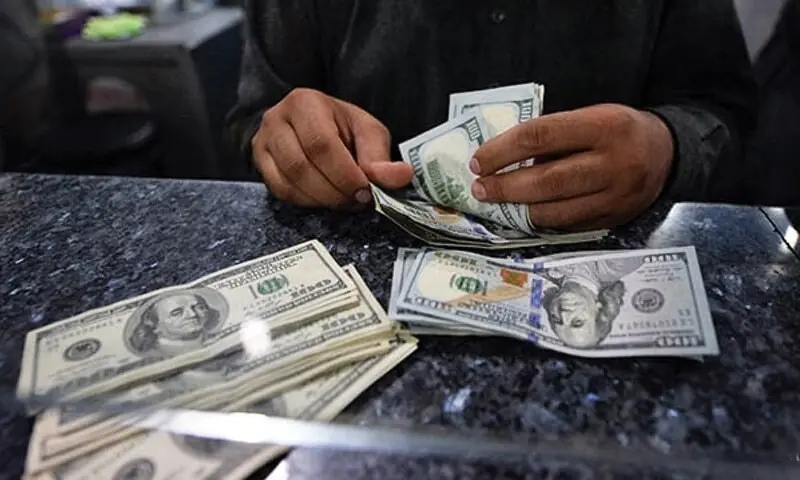 Remittances steady, but war risks loom - Business