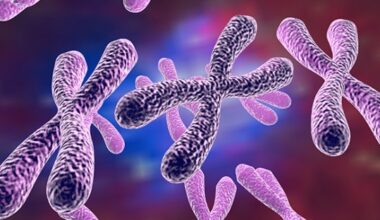 Flipped chromosomal segments drive natural selection