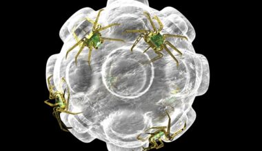 DNA origami vaccine platform shows promise against multiple infectious viruses