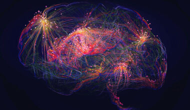 When oncogenes collide in brain development