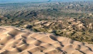 China’s New Law Signals Xi Won’t Curb Environmental Ambitions