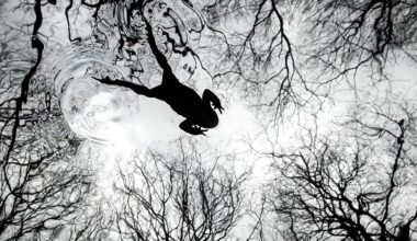 ‘Rarely seen moments’: Winners of the British Wildlife Photography Awards revealed