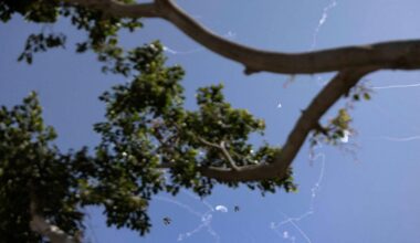 Iranian Officials Say Over 1,200 Killed Since Start of U.S.-Israel War - Haaretz