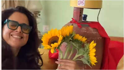 'VIP has finally arrived': Sameera Reddy's hilarious LPG reel grabs attention - watch video