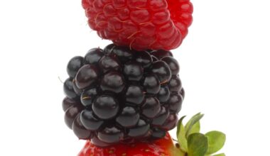 The 7 Best Polyphenol-Rich Foods to Fight Inflammation