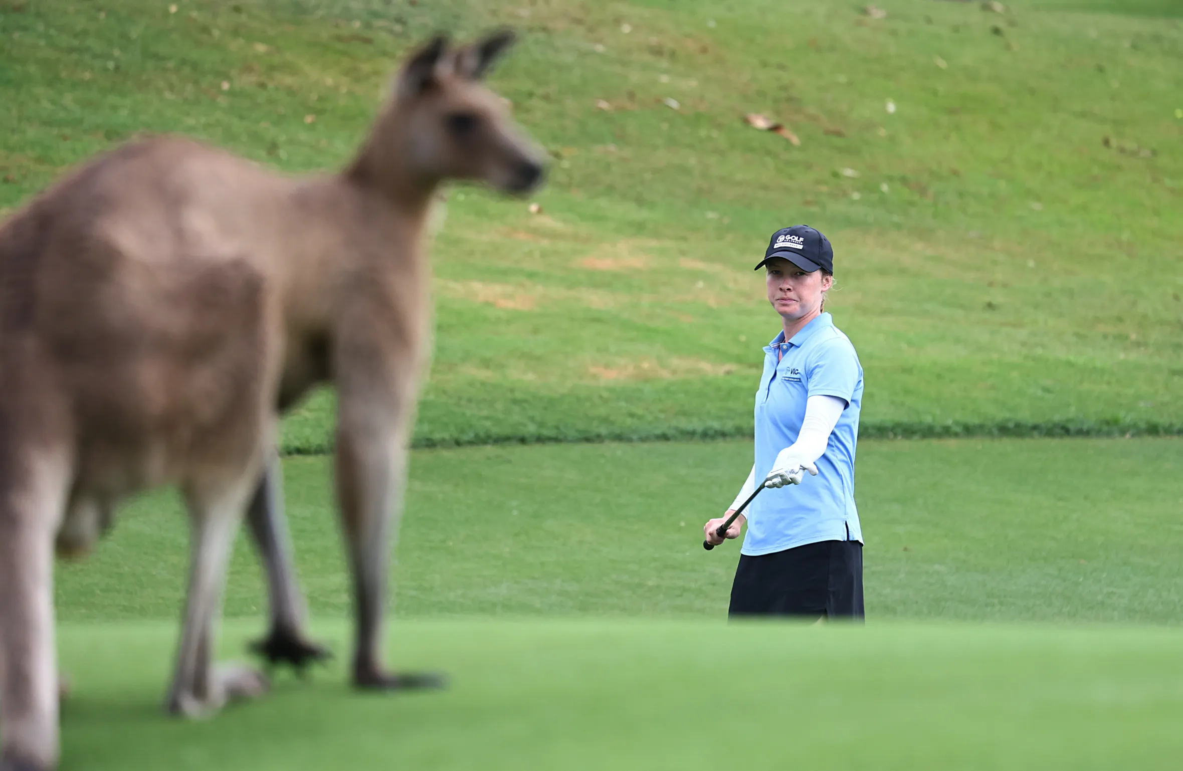 Australian WPGA Championship