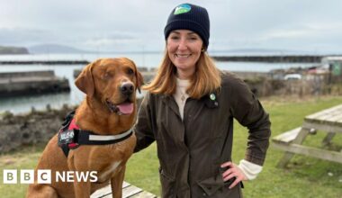 World-first as Rathlin Island is declared ferret free - BBC