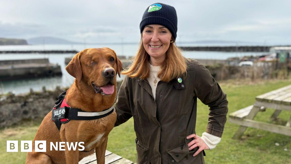 World-first as Rathlin Island is declared ferret free - BBC