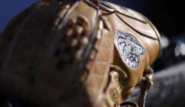Baseball Game at Stony Brook Postponed