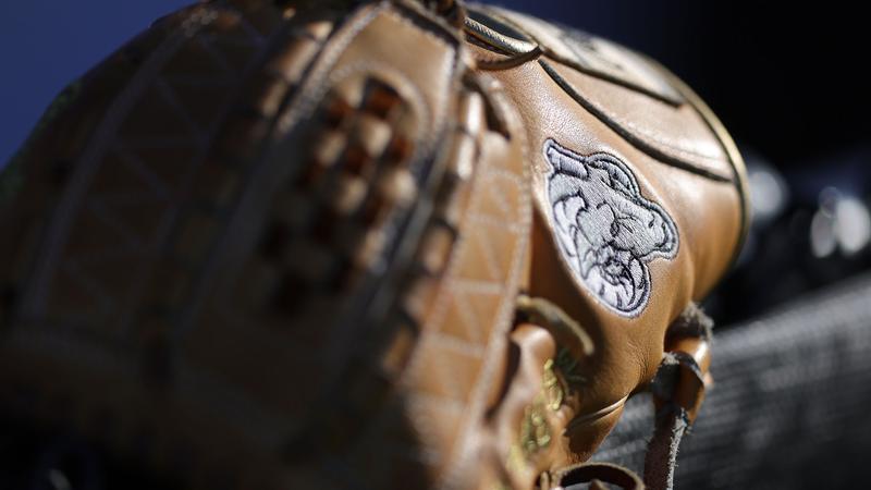 Baseball Game at Stony Brook Postponed