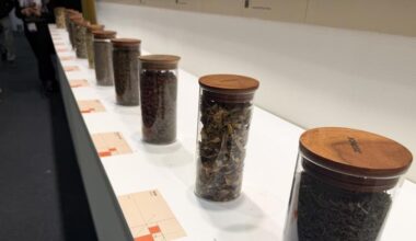 Why medicinal plants matter on World Wildlife Day