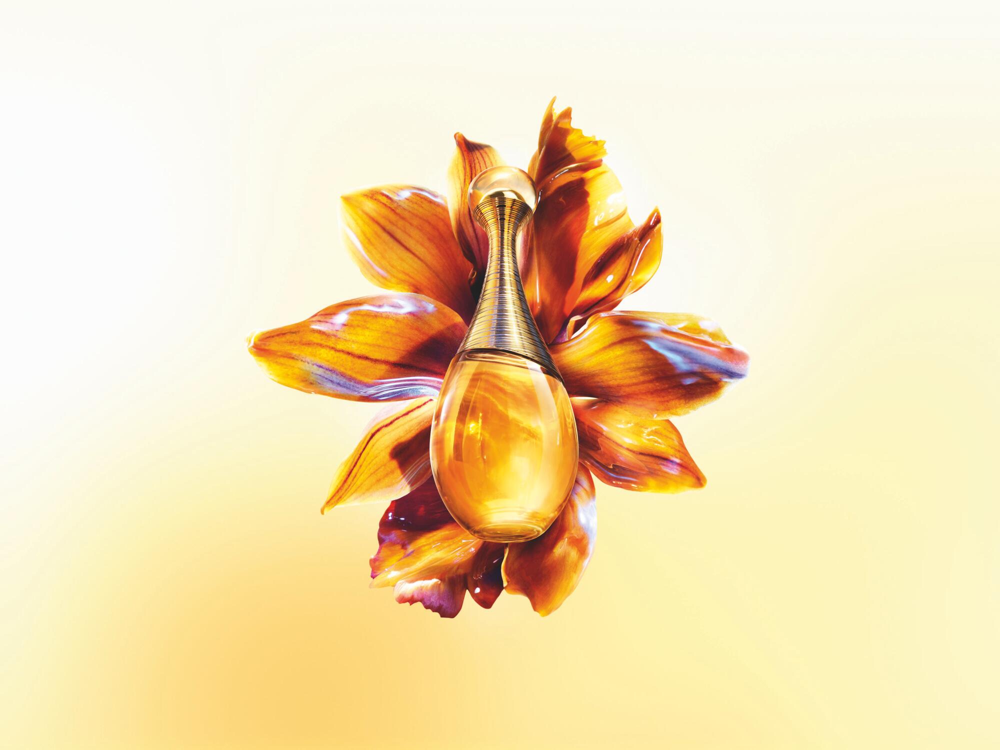 Dior launches J’Adore Intense