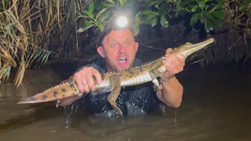 Freshwater crocodile abandoned in Newcastle park