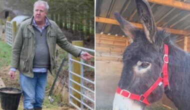 Jeremy Clarkson hits back after fans express concern over Diddly Squat update: 'We know!'