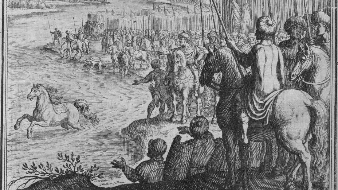 GettyImages-51245053 2.jpg