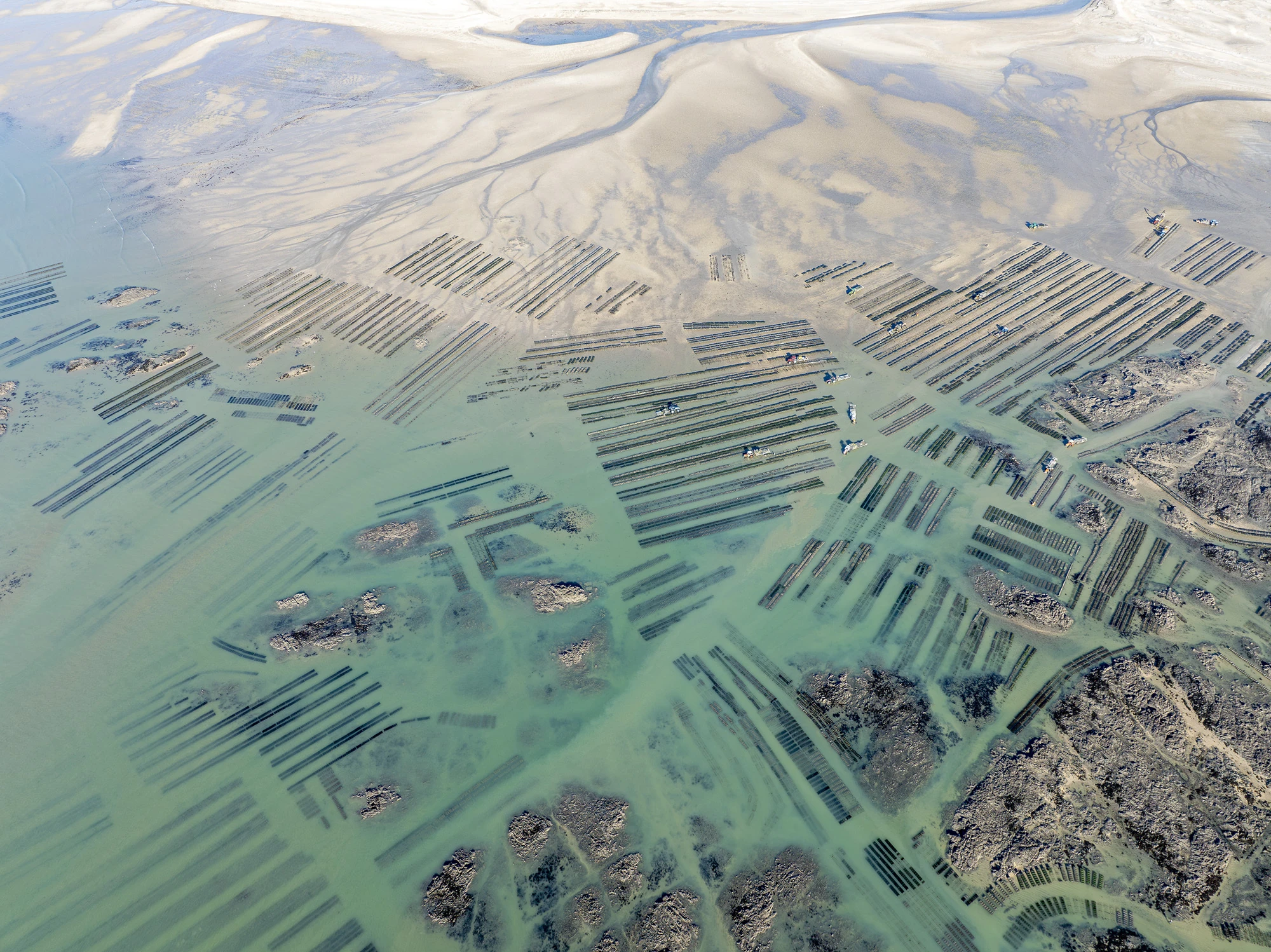 Sony World Photography Awards 2026