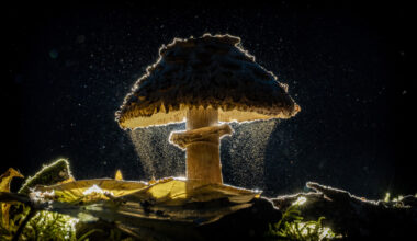 The Best Travel Photos From The Sony World Photography Awards 2026 Shortlist