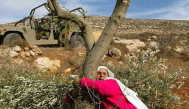 “Palestine is a Feminist Issue”