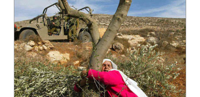 “Palestine is a Feminist Issue”